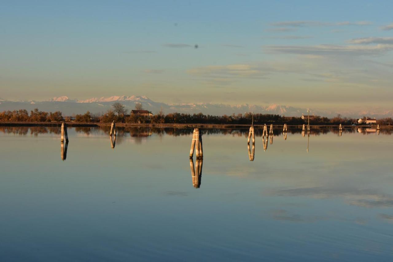 Appartamento Con Vista A Cavallino Venezia Dış mekan fotoğraf
