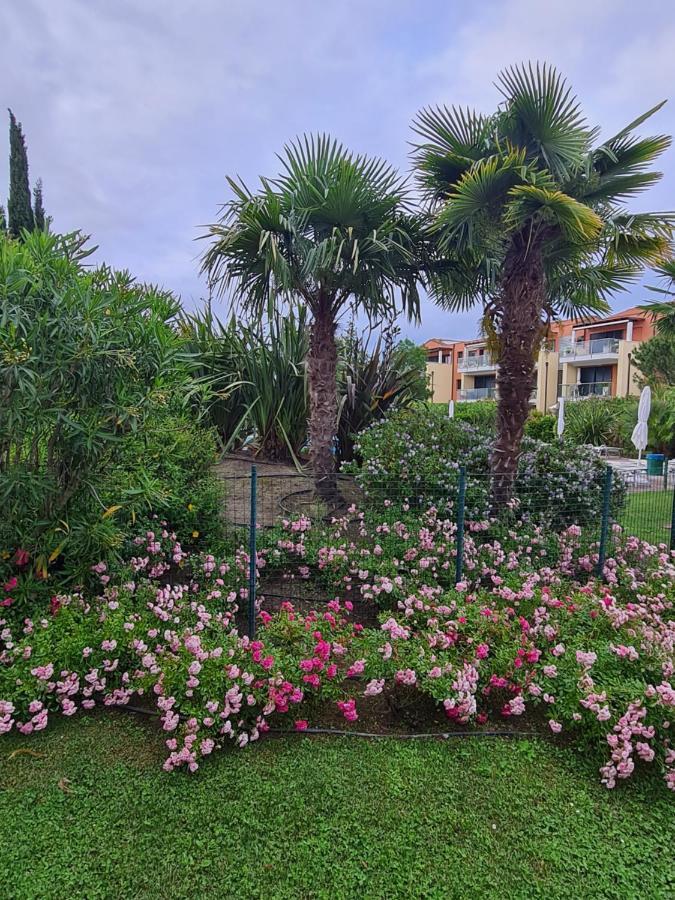 Appartamento Con Vista A Cavallino Venezia Dış mekan fotoğraf