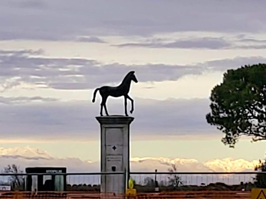 Appartamento Con Vista A Cavallino Venezia Dış mekan fotoğraf