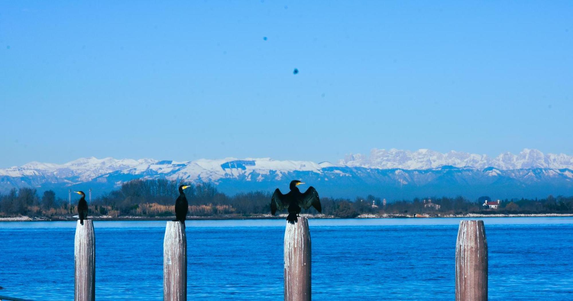 Appartamento Con Vista A Cavallino Venezia Dış mekan fotoğraf